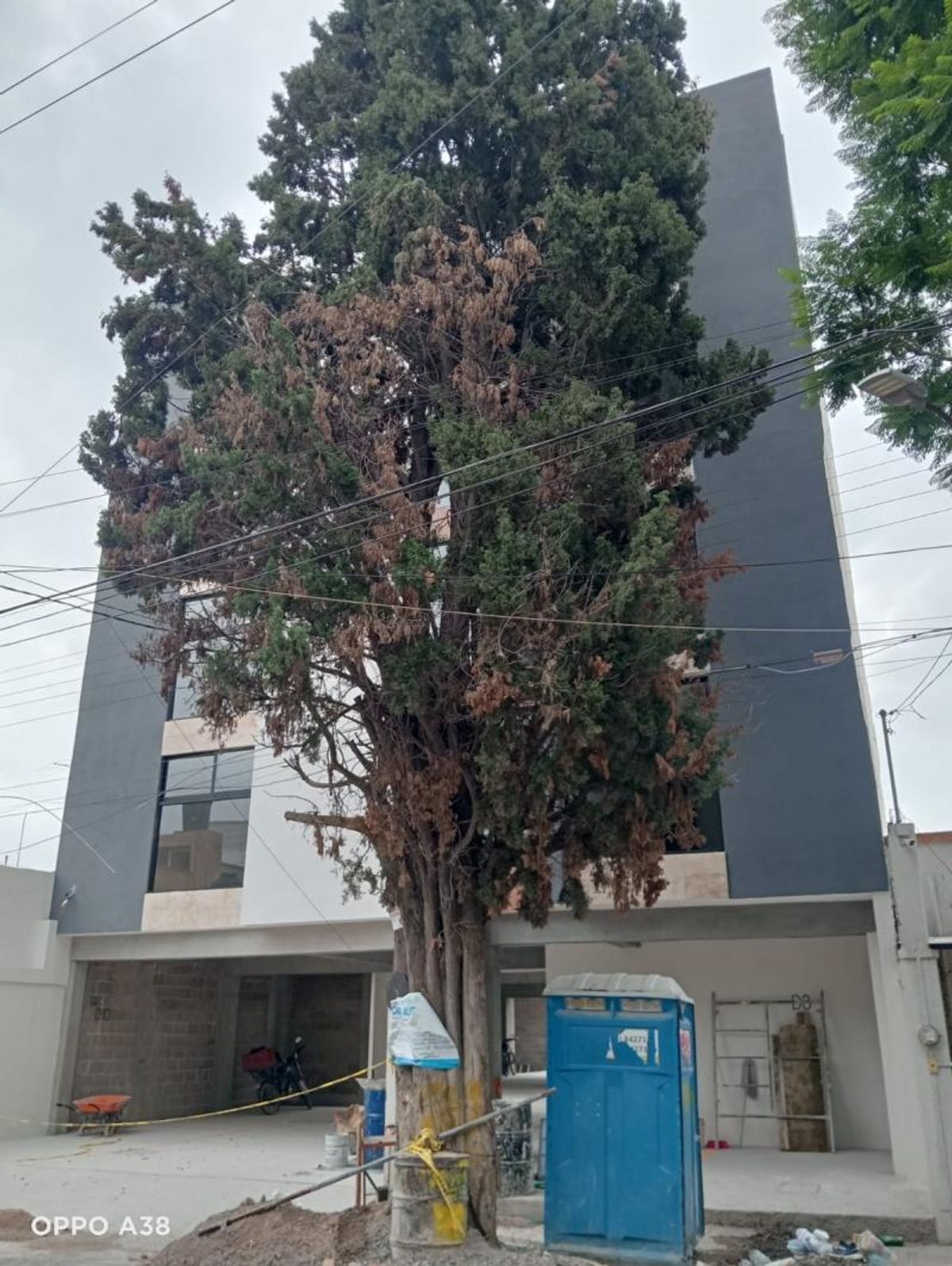 Fachada de edificio moderno en color gris y blanco con un árbol al frente