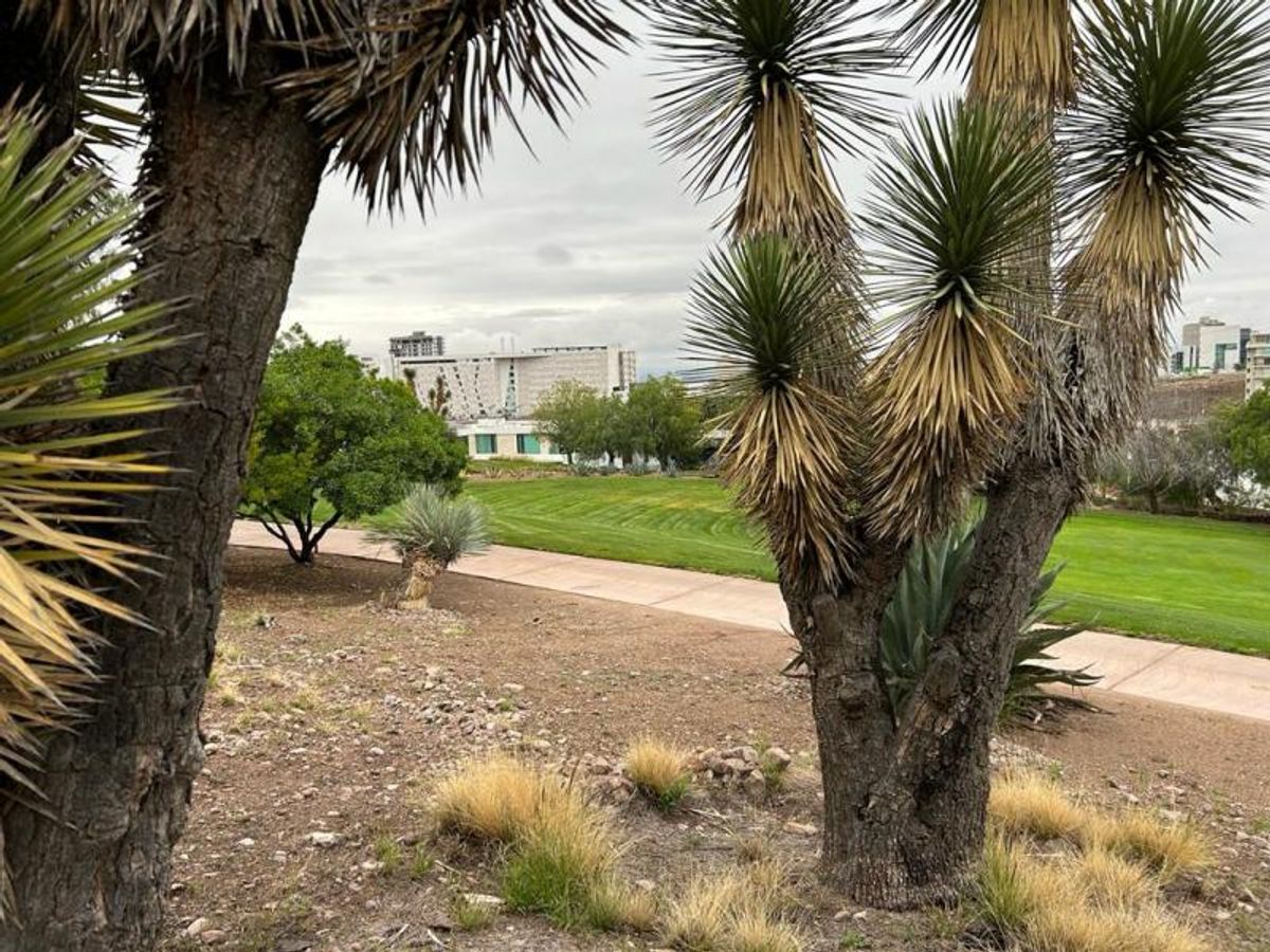Fotografía de TERRENO EN VENTA EN CLUB DE GOLF LA LOMA