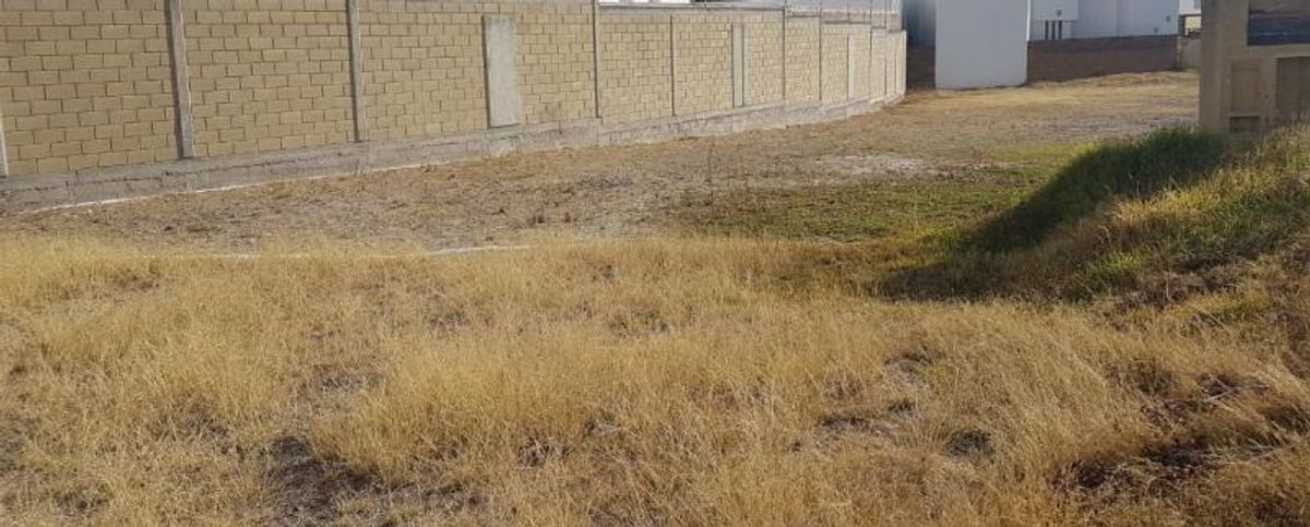 Fotografía de TERRENO EN VENTA PEDREGAL