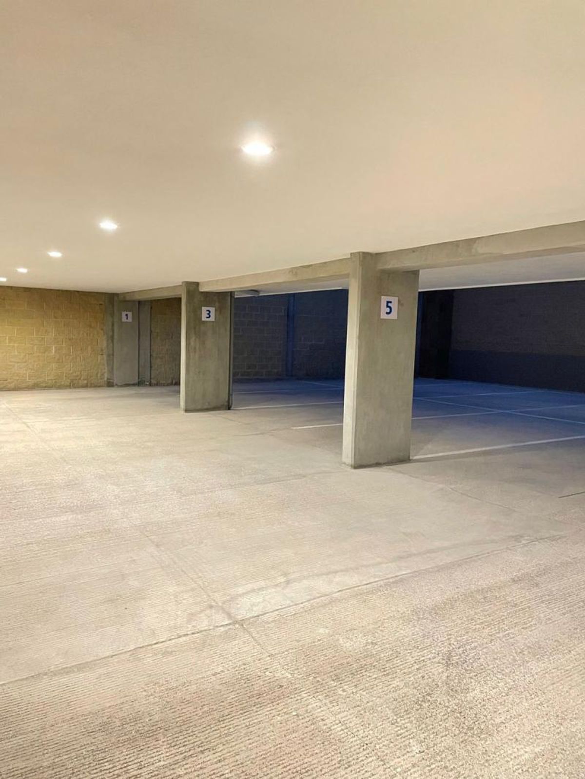 Fotografía de DEPARTAMENTO EN RENTA FRENTE AL PARQUE TANGAMANGA 1
