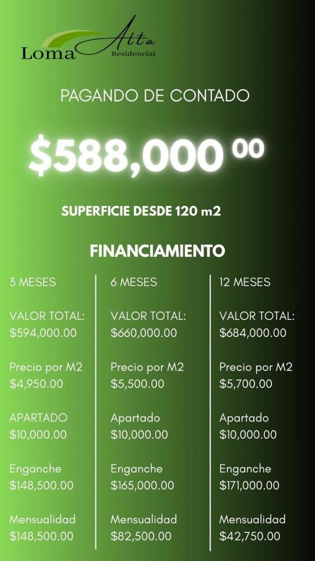 Fotografía de TERRENOS EN VENTA EN LOMA ALTA RESIDENCIAL