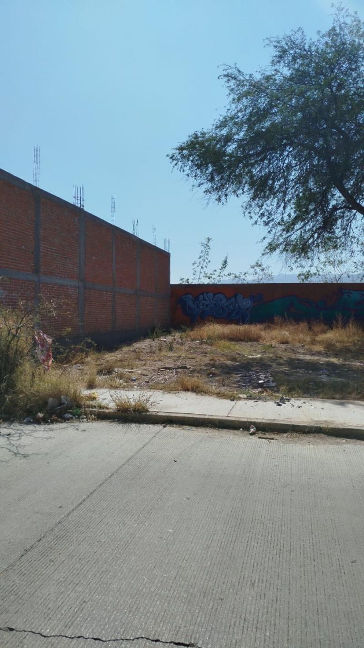 Fotografía de TERRENO EN VEN SOBRE JOSEFA NEGRETE