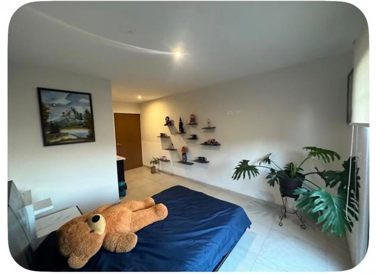 Habitación con cama azul, oso de peluche grande, repisas flotantes, planta decorativa y piso claro