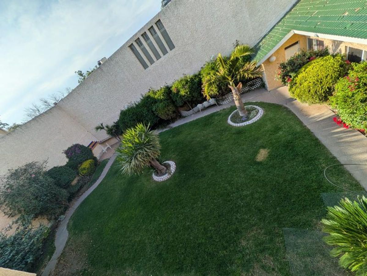 Jardín con pasto verde, palmeras, andadores de concreto y altos muros perimetrales