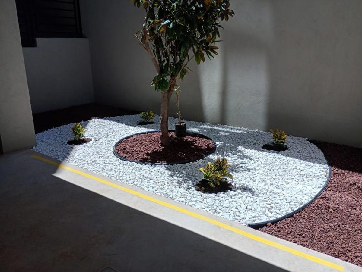 Jardín decorativo con gravilla blanca, piedra volcánica roja, plantas pequeñas y árbol central
