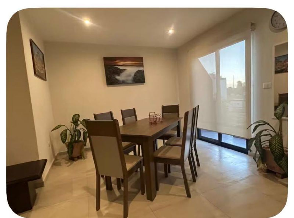 Comedor con mesa de madera, seis sillas tapizadas, plantas en maceta y persiana enrollable