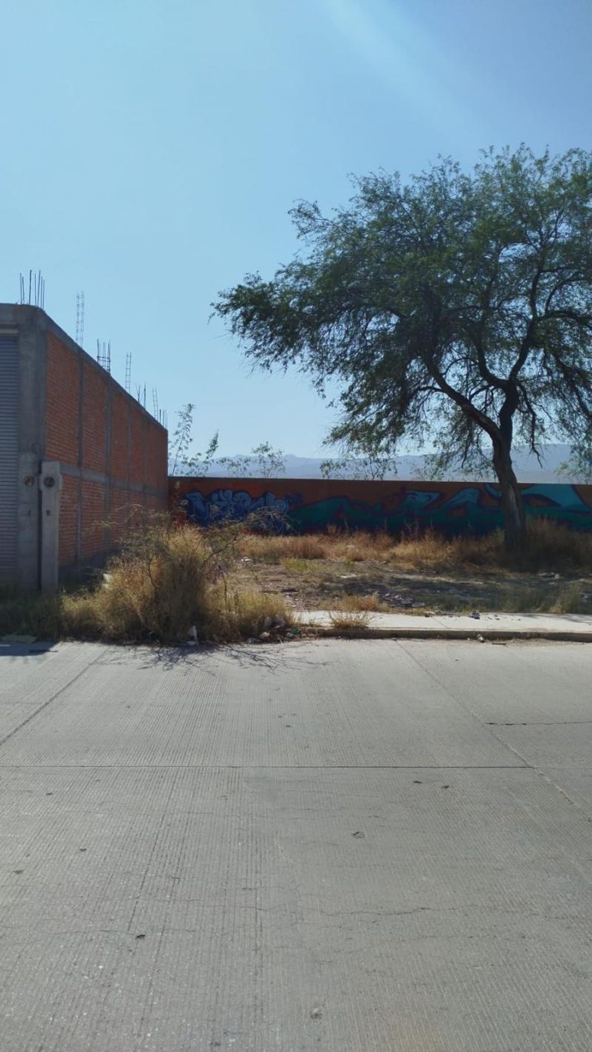 Fotografía de TERRENO EN VEN SOBRE JOSEFA NEGRETE