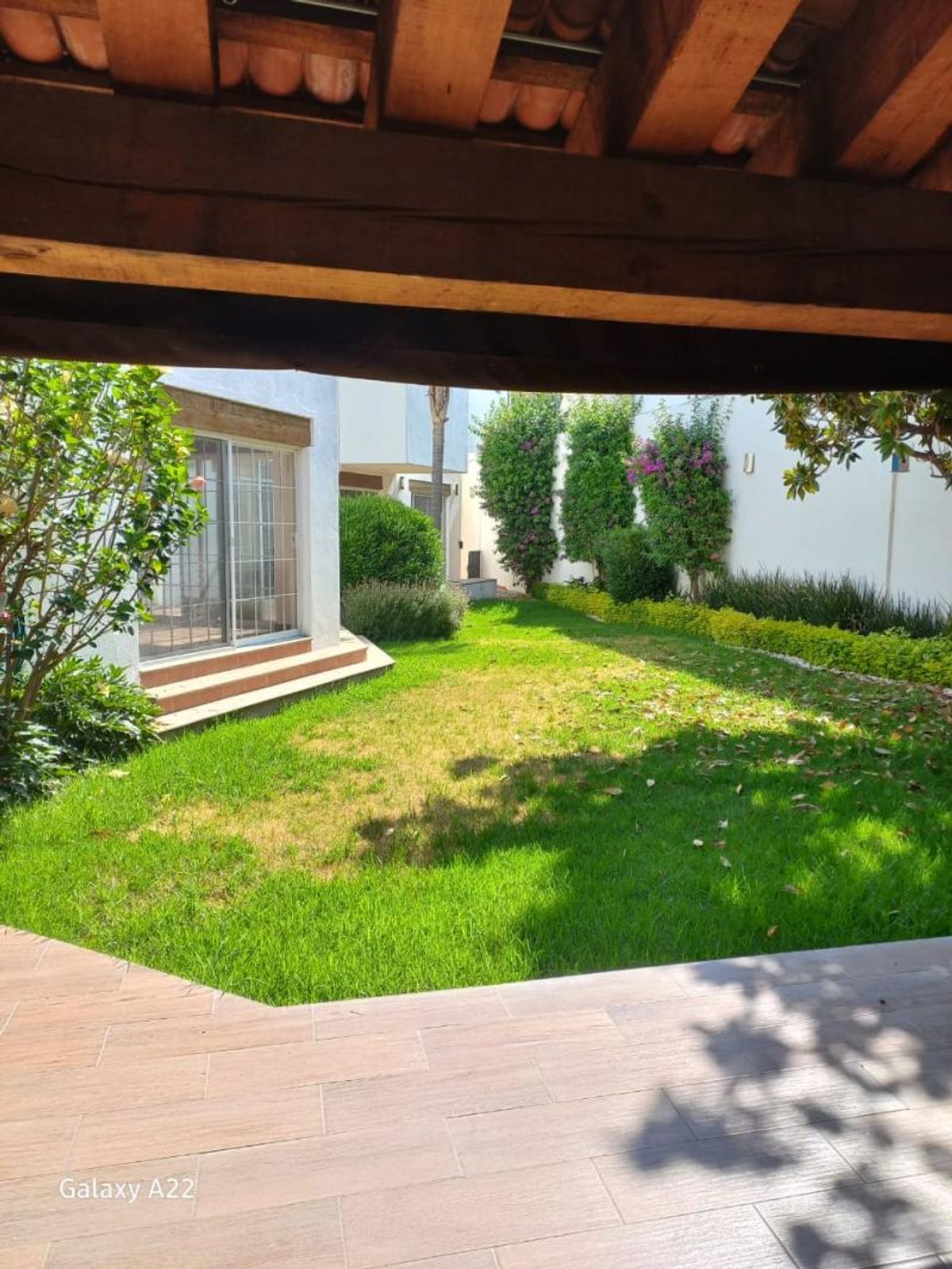 Jardín con pasto y plantas verdes visto desde una terraza con techo de madera