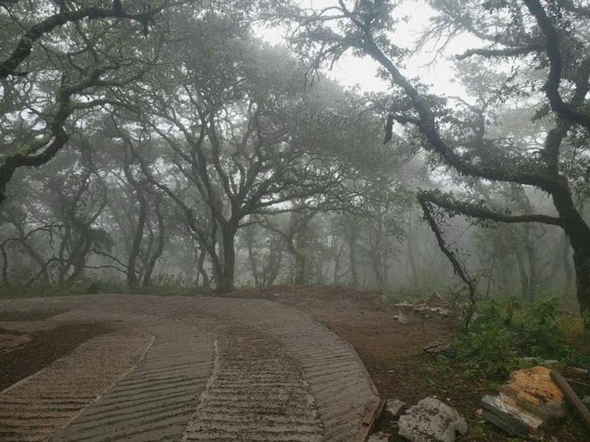 Fotografía de EXCELENTE TERRENO EN VENTA EN SIERRA DE ALVAREZ