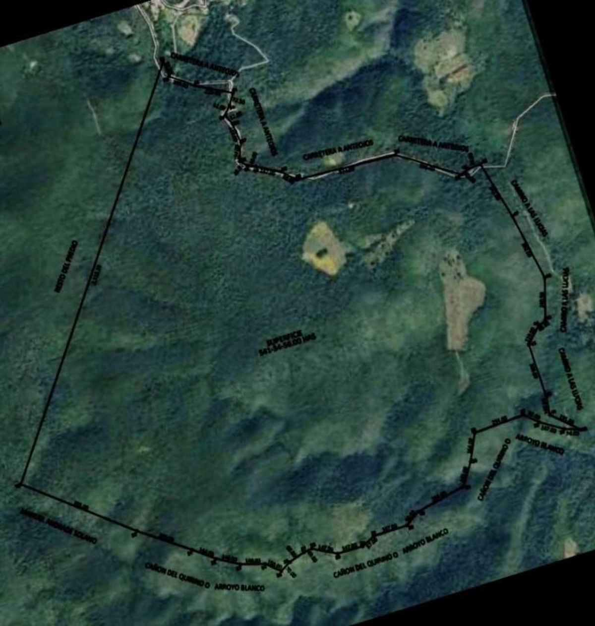 Fotografía de TERRENO RUSTICO EN VENTA CON 100 HECTAREAS DE PALMILLA,PALO ROSA Y ENCINO