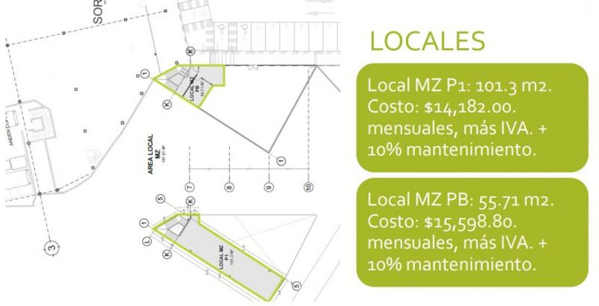 Fotografía de RENTA LOCALES EN PLAZA MUÑOZ CAMPESTRE