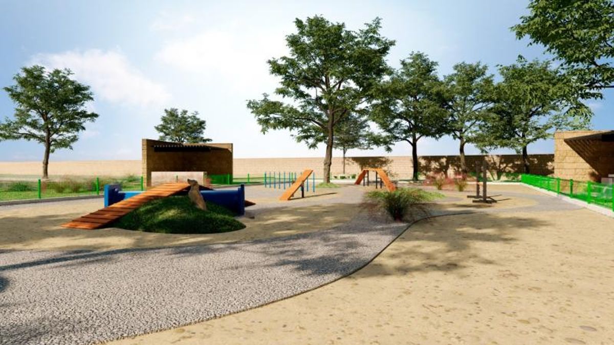 Parque canino al aire libre con rampas de madera, sendero de grava y árboles