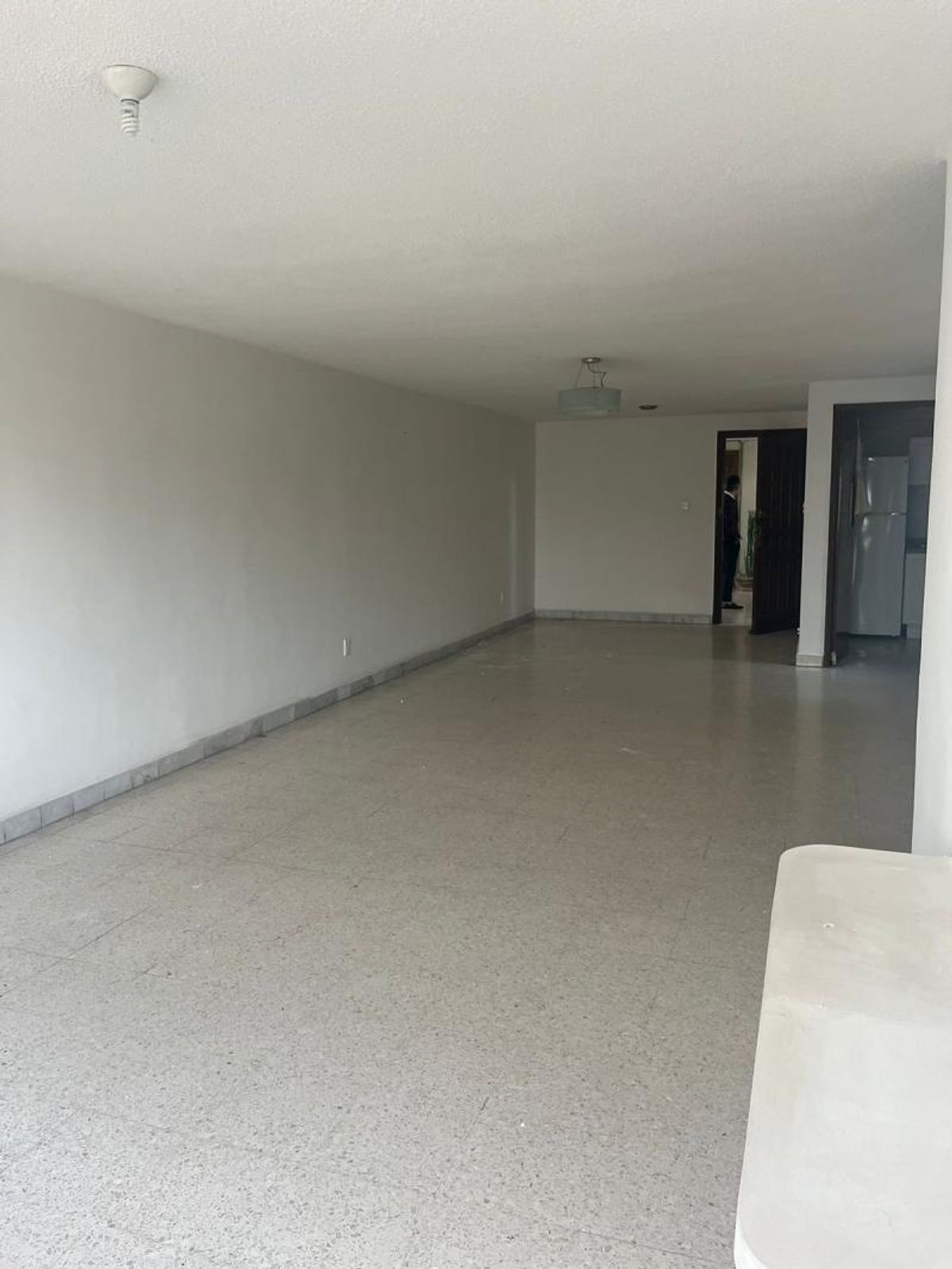 Fotografía de DEPARTAMENTO EN VENTA SOBRE AV CARRANZA