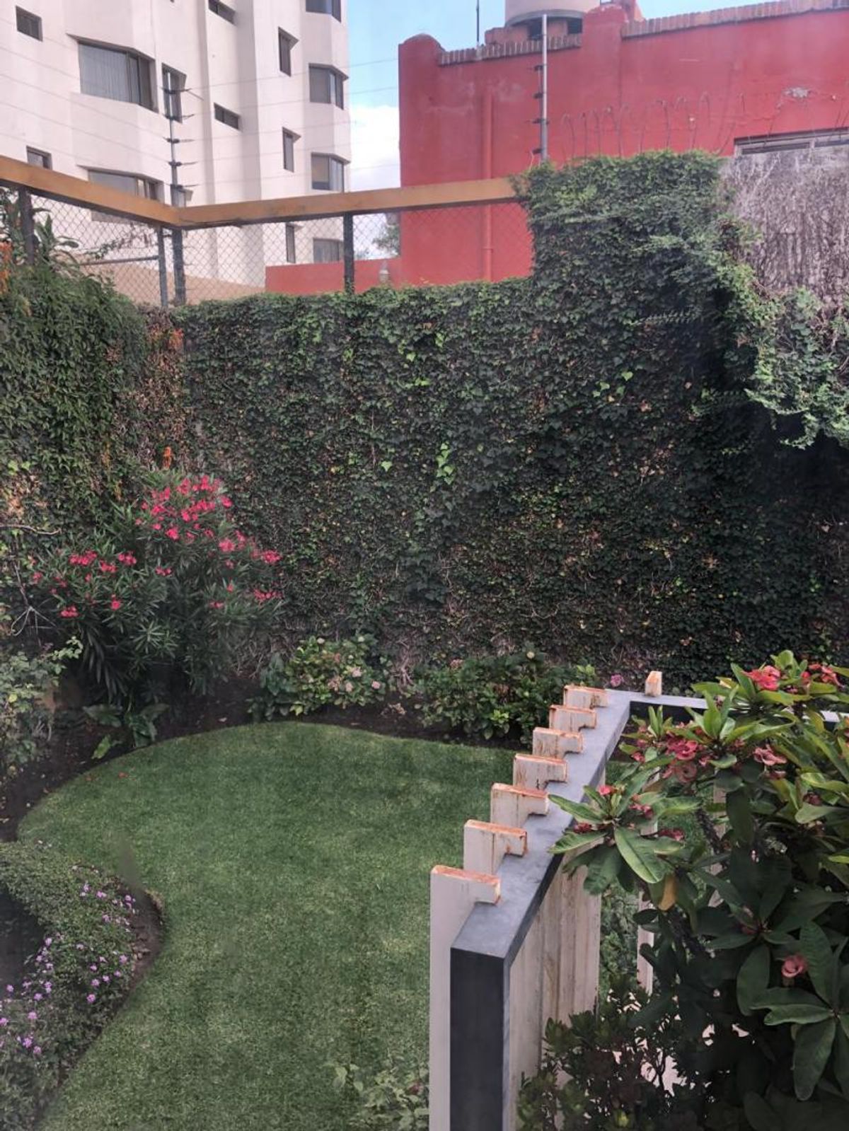 Fotografía de CASA EN RENTA SOBRE AV CARRANZA
