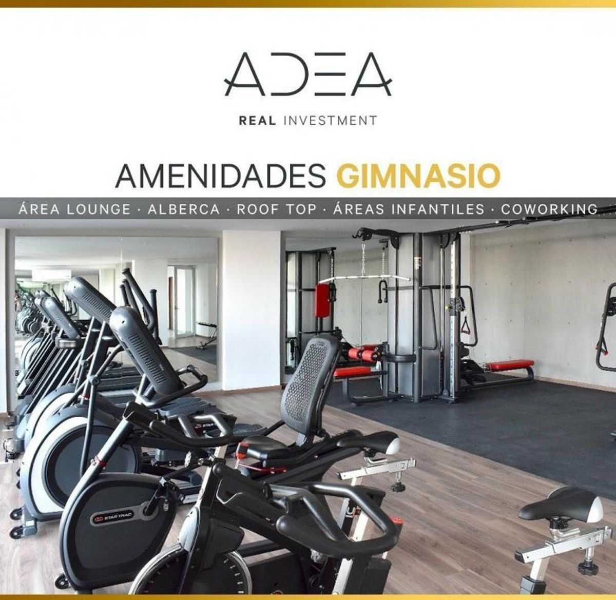 Gimnasio con bicicletas estáticas, elípticas, equipo multifuncional y pisos de madera y goma