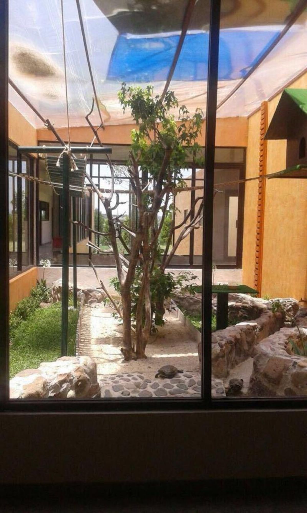 Fotografía de EXCELENTE RANCHO EN VENTA EN SAN MIGUEL ALLENDE