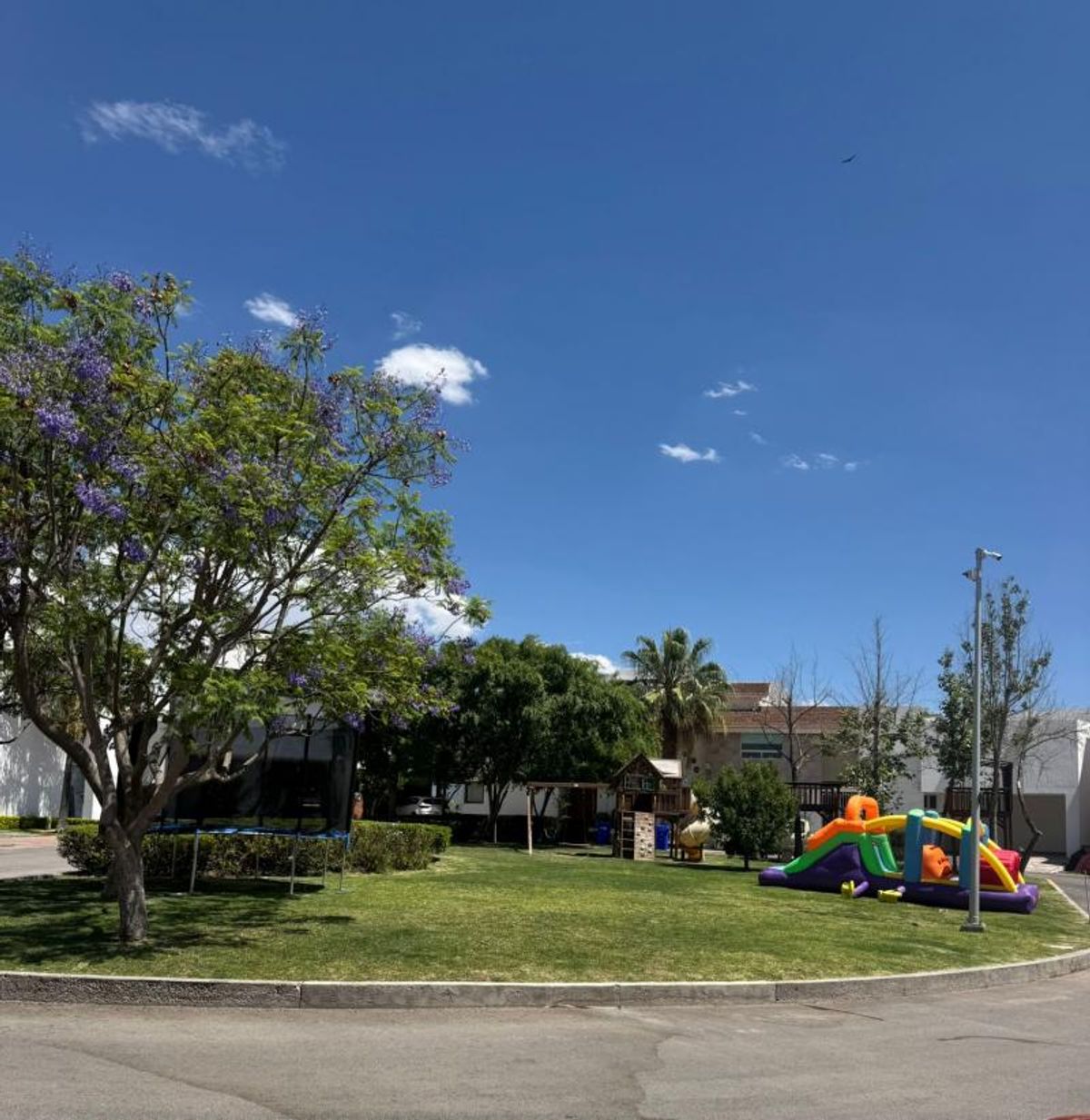 Área verde con pasto, trampolín, inflable infantil colorido, juegos de madera y jacaranda florecida
