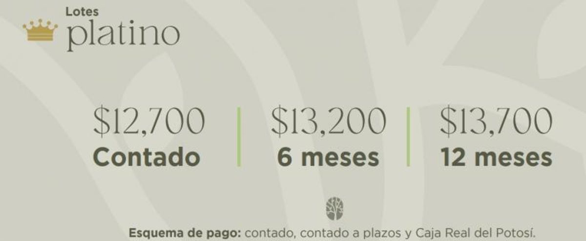 Esquema de precios de lotes platino con pagos a contado, seis y doce meses