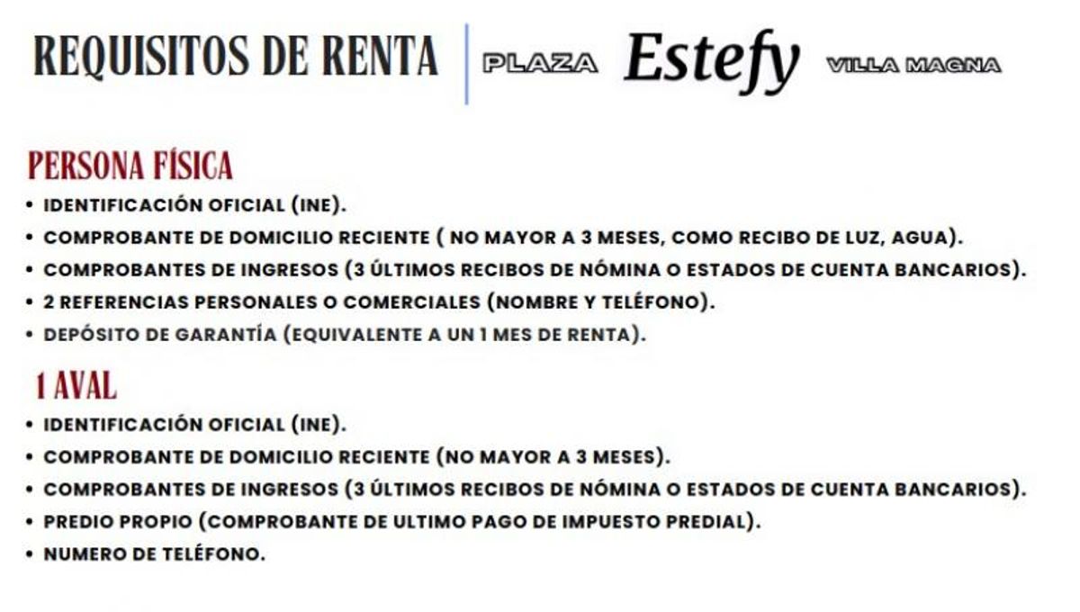 Fotografía de LOCALES EN RENTA EN VILLA MAGNA PLAZA ESTEFY