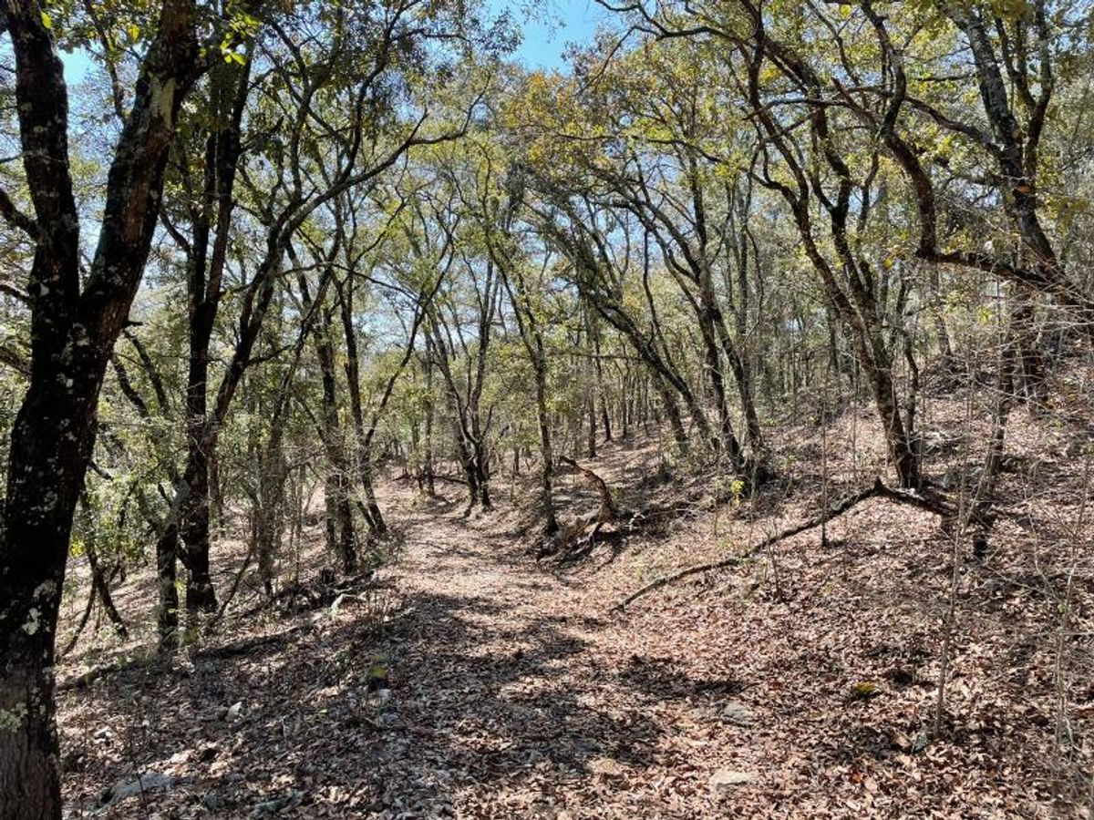 Fotografía de EXCELENTE TERRENO EN VENTA EN LOS LLANITOS VILLA DE ZARAGOSA