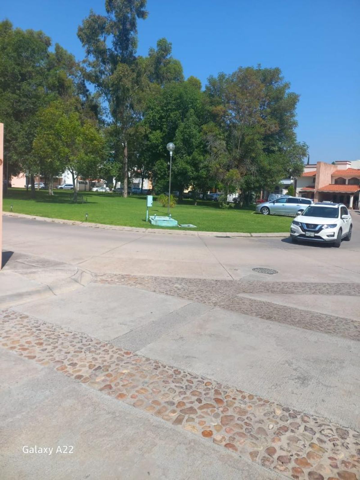 Calle de concreto y empedrado frente a un parque arbolado con casas al fondo