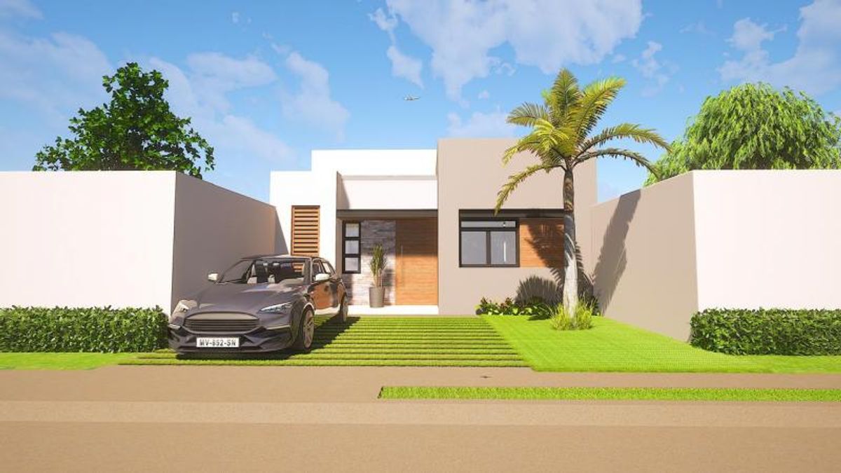 Fachada moderna de una planta con puerta de madera, palmera, césped y auto estacionado