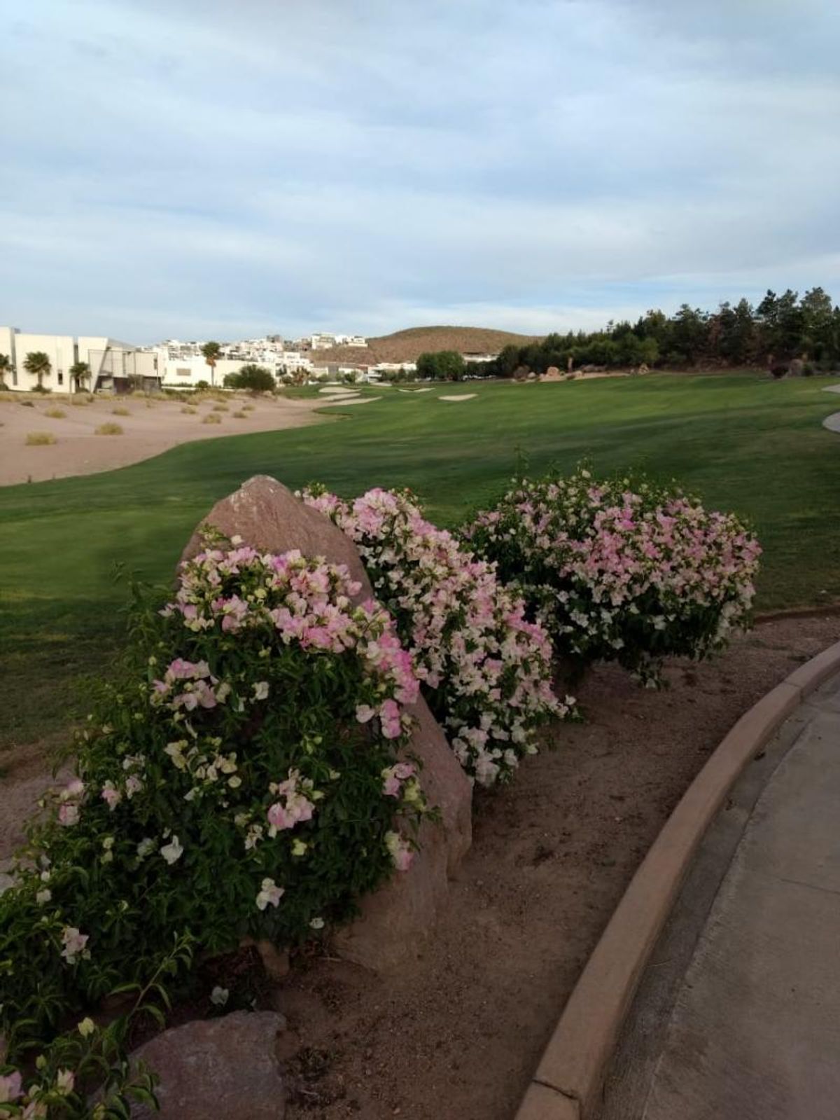 Fotografía de TERRENO EN VENTA EN CLUB DE GOLF LA LOMA
