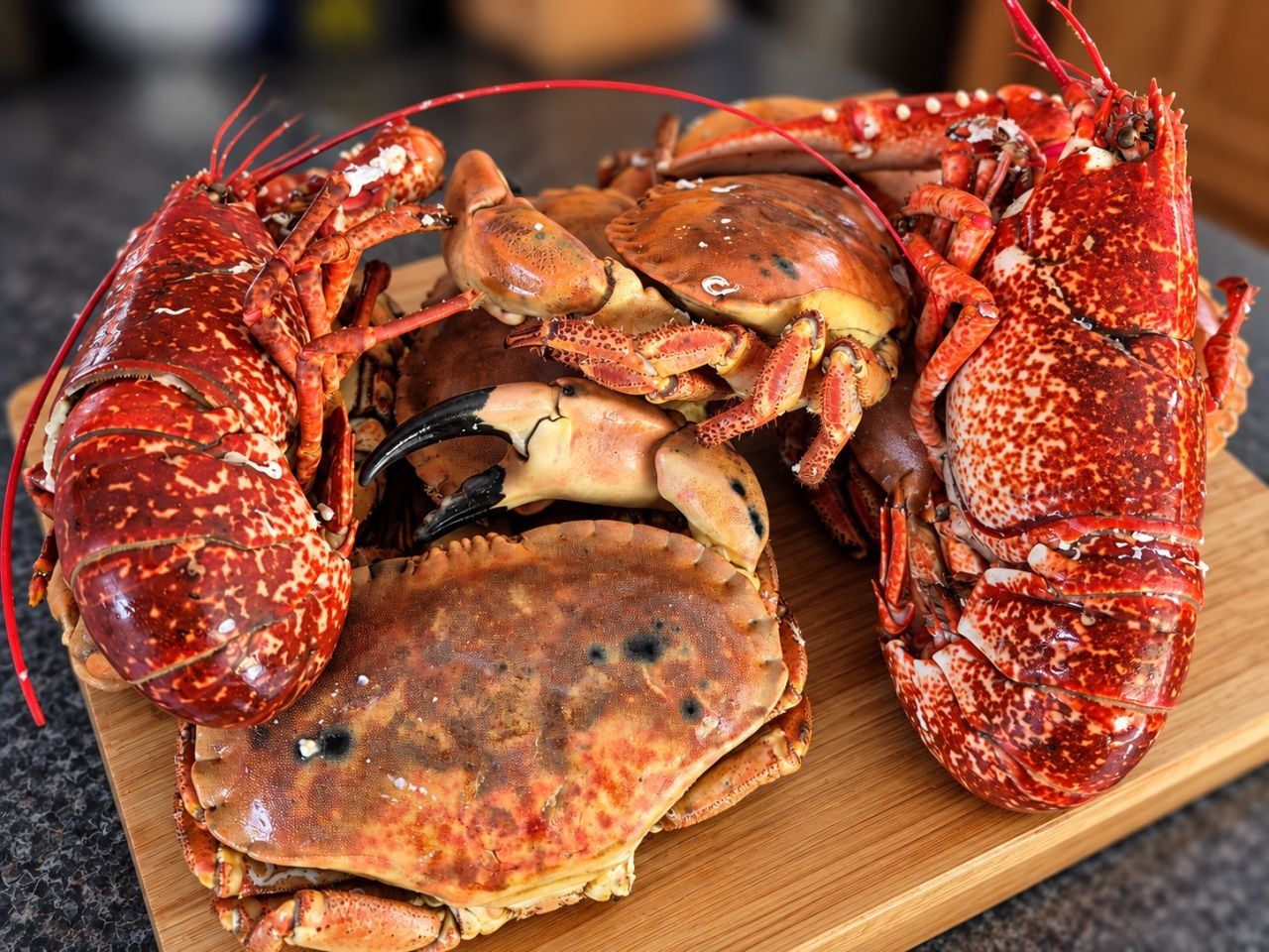 Freshly cooked lobsters and brown crabs piled on a wooden board