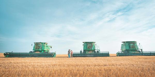 Another Sunday that cleared wide swaths of the field