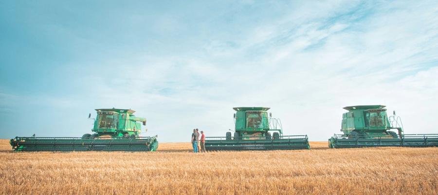 Another Sunday that cleared wide swaths of the field