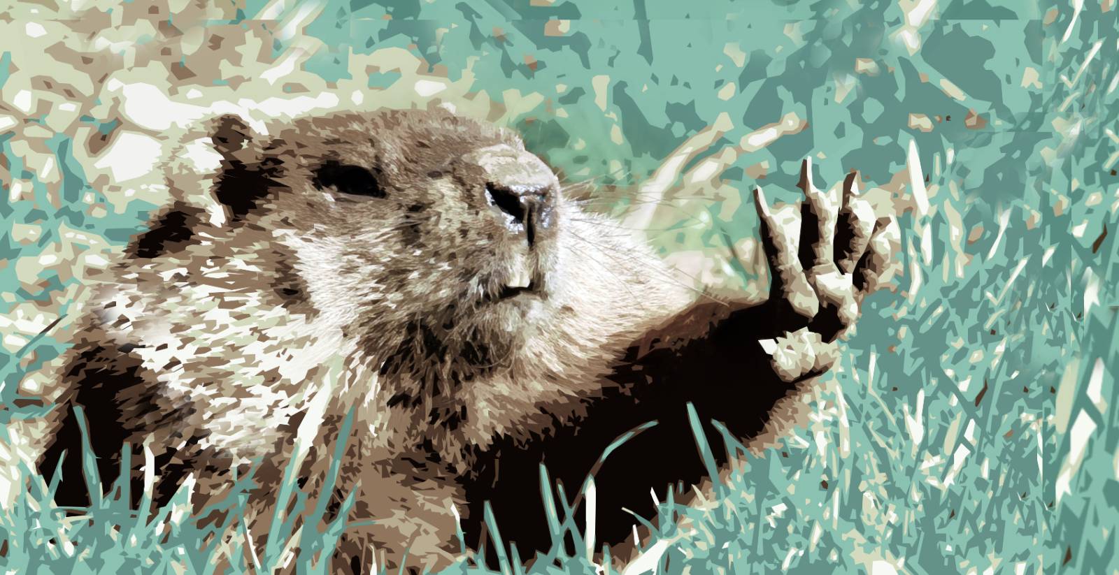 Circa Survivor Week 12 Selections