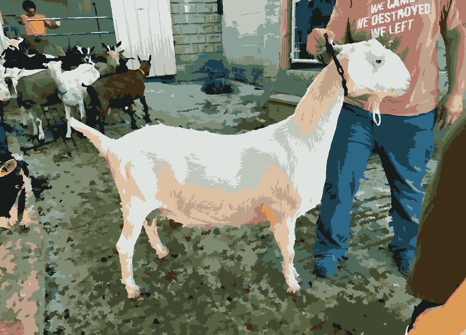 How Milking Goats is Inspiring My Survivor Journey