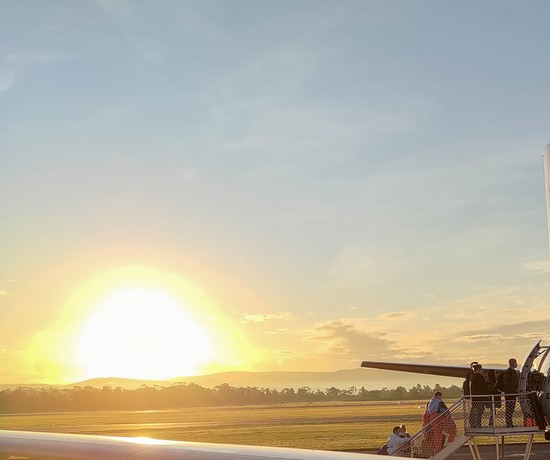 Does vitamin D help us lose more weight? | Bulk Nutrients blog