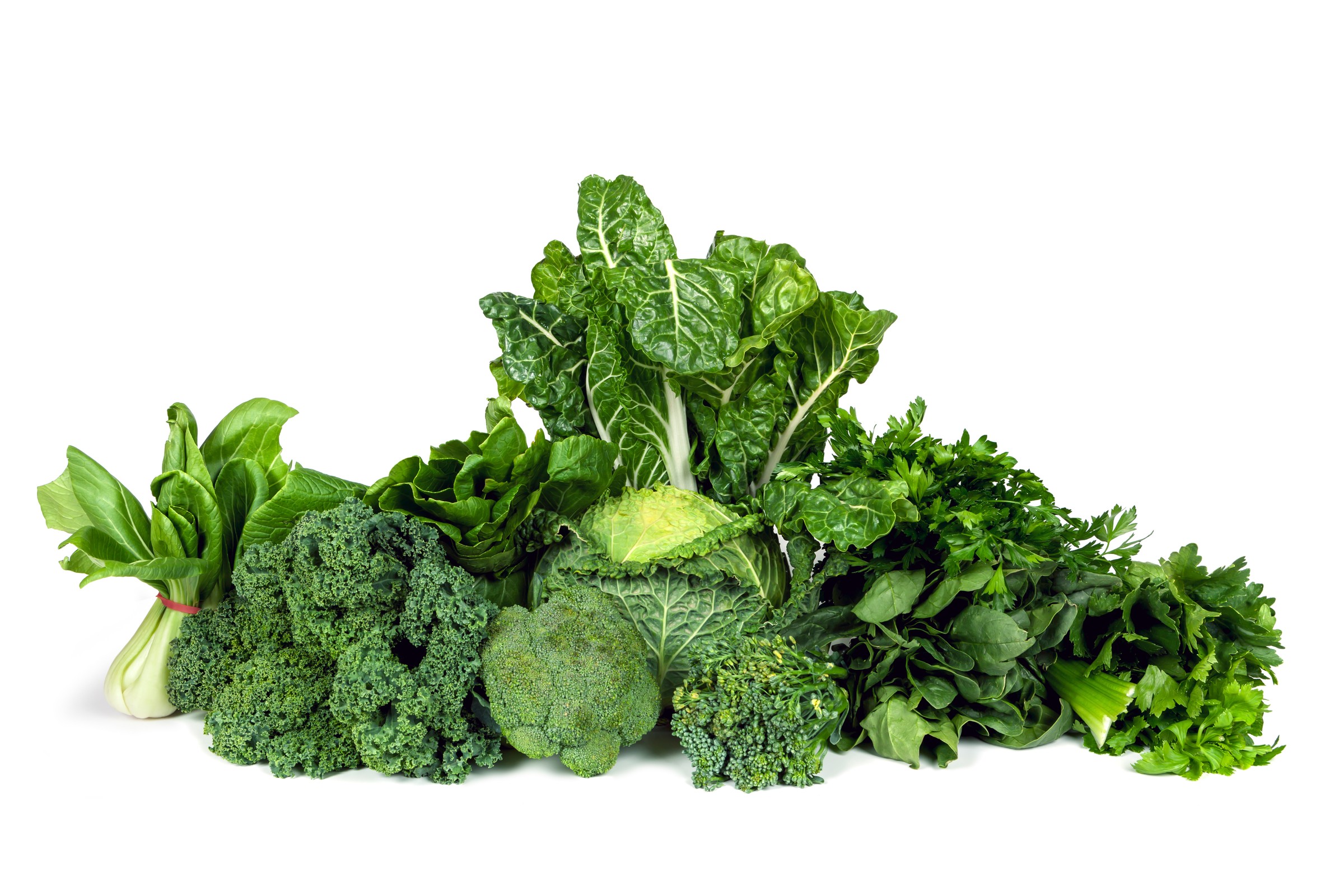 Vegetables contain a wide variety of important nutrients but often lack the protein content needed to reach recommended daily levels.
