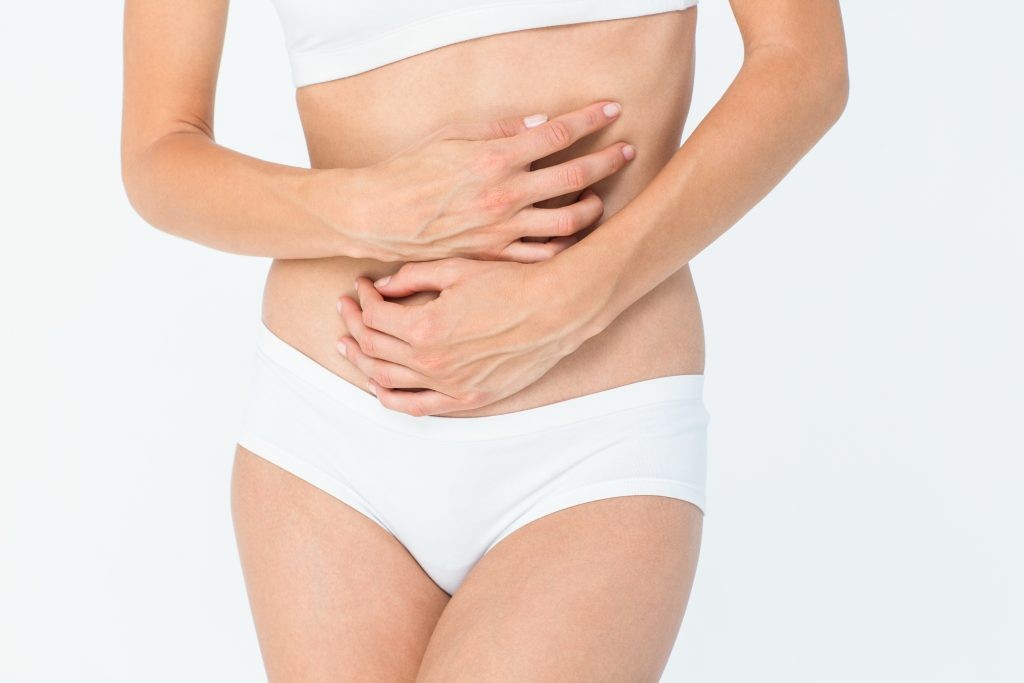 Probiotics support the digestive system.