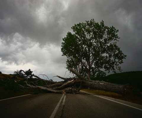 What's really standing in the way of you and your weight loss? | Bulk Nutrients blog