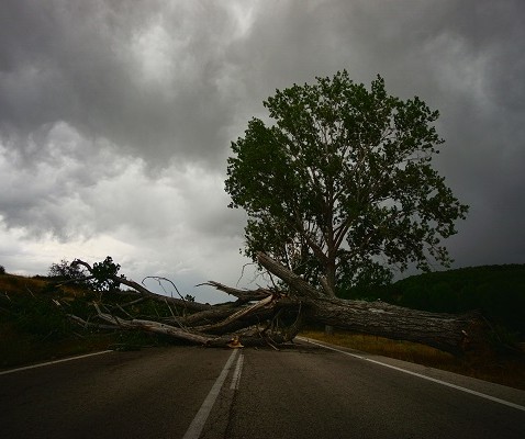 What's really standing in the way of you and your weight loss? | Bulk Nutrients blog