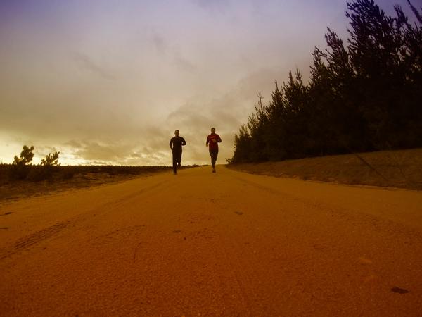 The 80/20 rule of endurance training