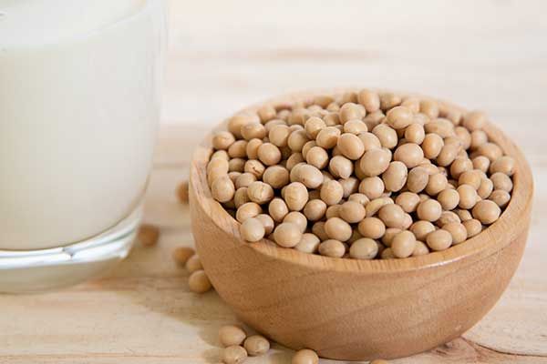 Soy Protein – it’s soy good