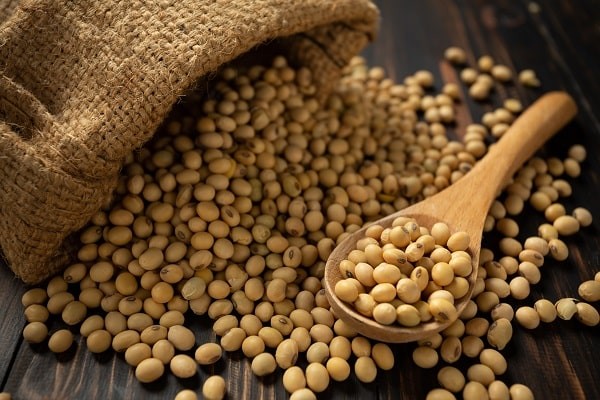 soy-beans