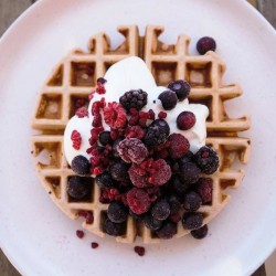 High protein Low Carb Waffles recipe from Bulk Nutrients
