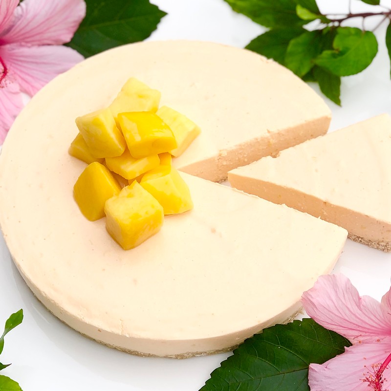 Mango Cheesecake | Bulk Nutrients Recipes