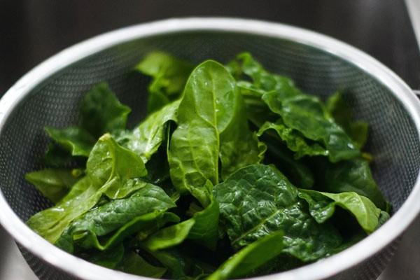 Some nutritious leafy green spinach