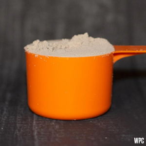 Dosage size - 30 grams (approx. 1 flat scoop) of WPC