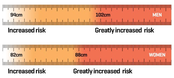 Keep your waistline measurement in check and stay within a healthy range to avoid obesity-related chronic diseases.