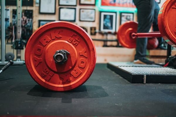 When’s the best time of the day to work out for muscle growth and strength? | Bulk Nutrients blog