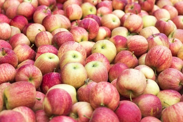 A box over following with delicious red apples.
