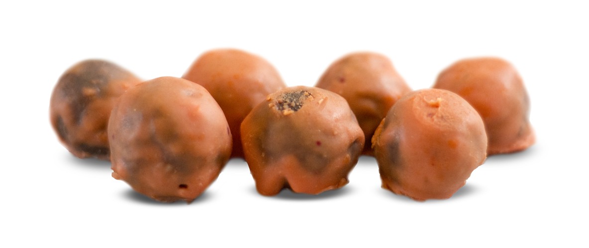 12 Days of Christmas - Jaffa Bites recipe from Bulk Nutrients