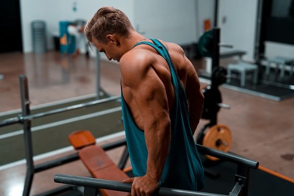Science: these are the best exercises for triceps | Bulk Nutrients blog