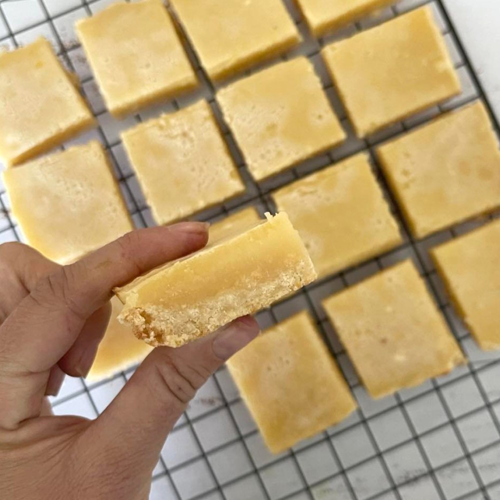 High Protein Lemon Slice Recipe | Bulk Nutrients Recipes
